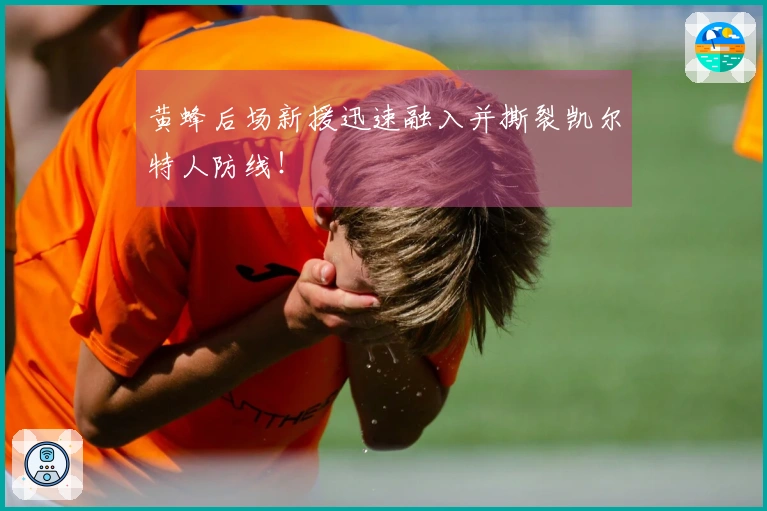 黄蜂后场新援迅速融入并撕裂凯尔特人防线！